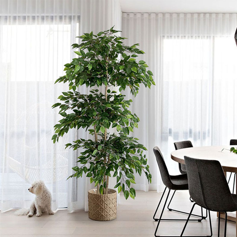 Ficus-árbol Artificial de 70 p - Dracaena Marginata reseña y precio