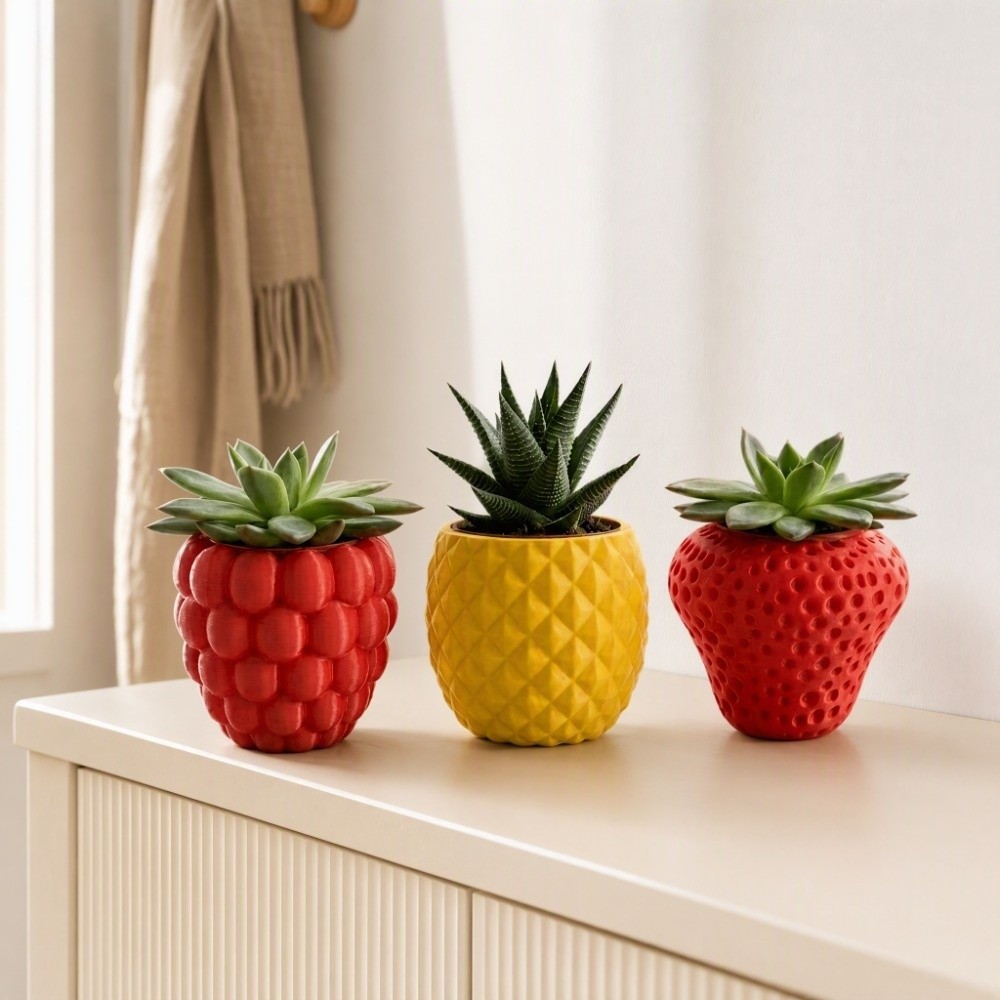Maceta de Plástico para Frutas - Echeveria Succulent reseña y precio