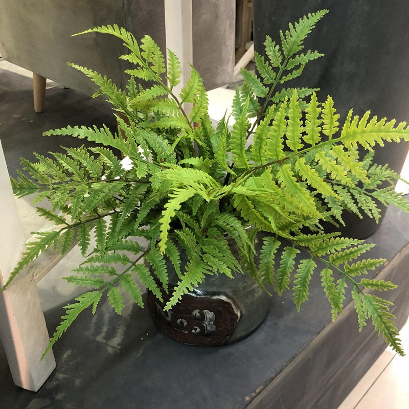 1 Uds. Plantas artificiales pa - Dracaena Marginata reseña y precio