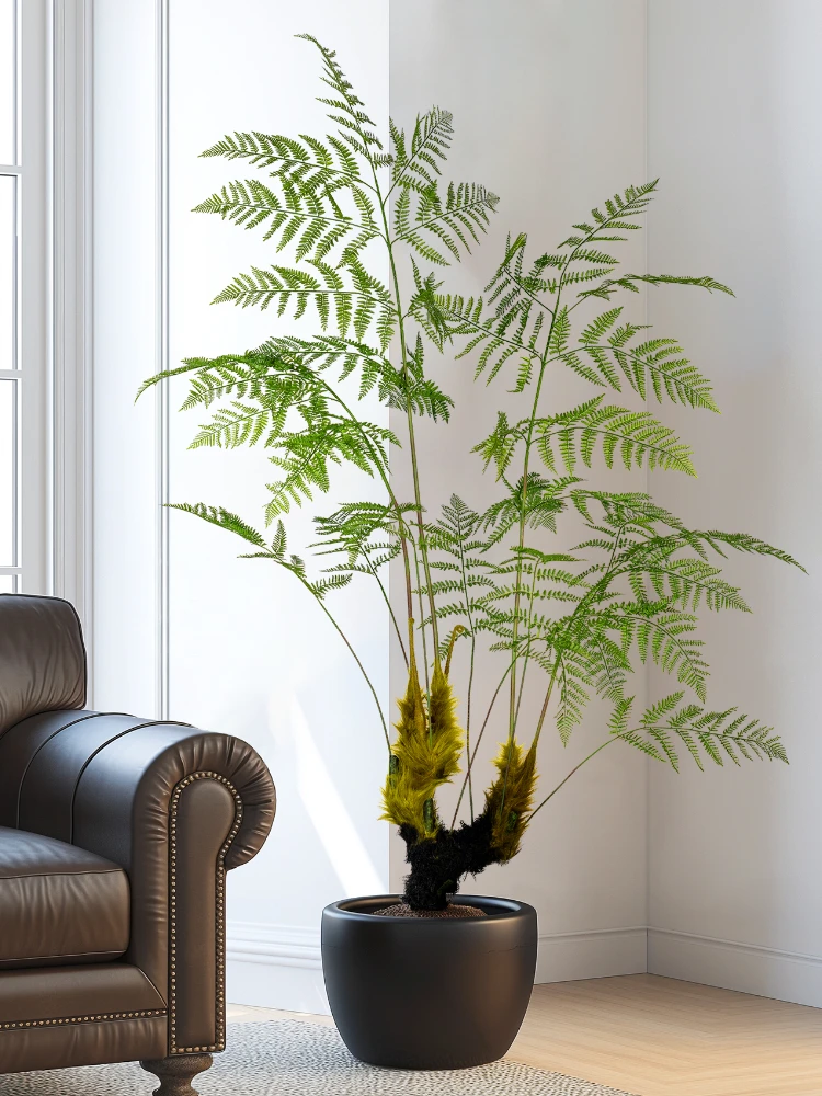 Gran mono dorado simulado, hel - Dracaena Marginata reseña y precio