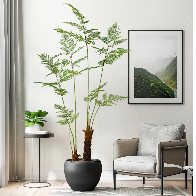 Gran mono dorado simulado, hel - Dracaena Marginata reseña y precio